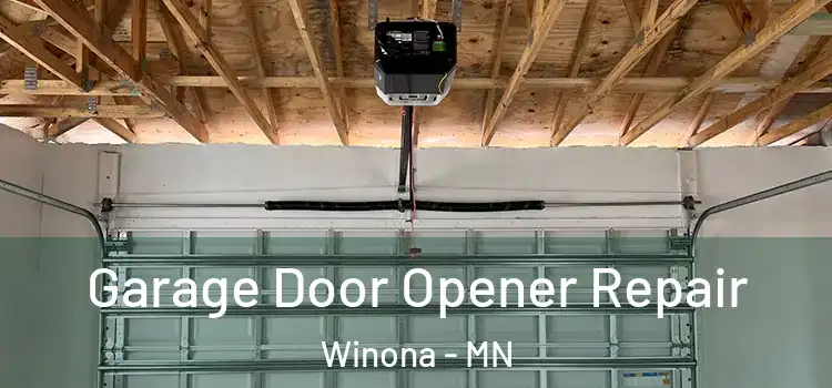  Garage Door Opener Repair Winona - MN