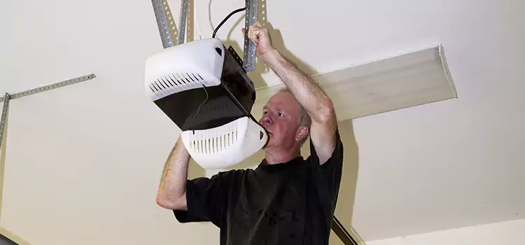Garage Door Opener Service Winona